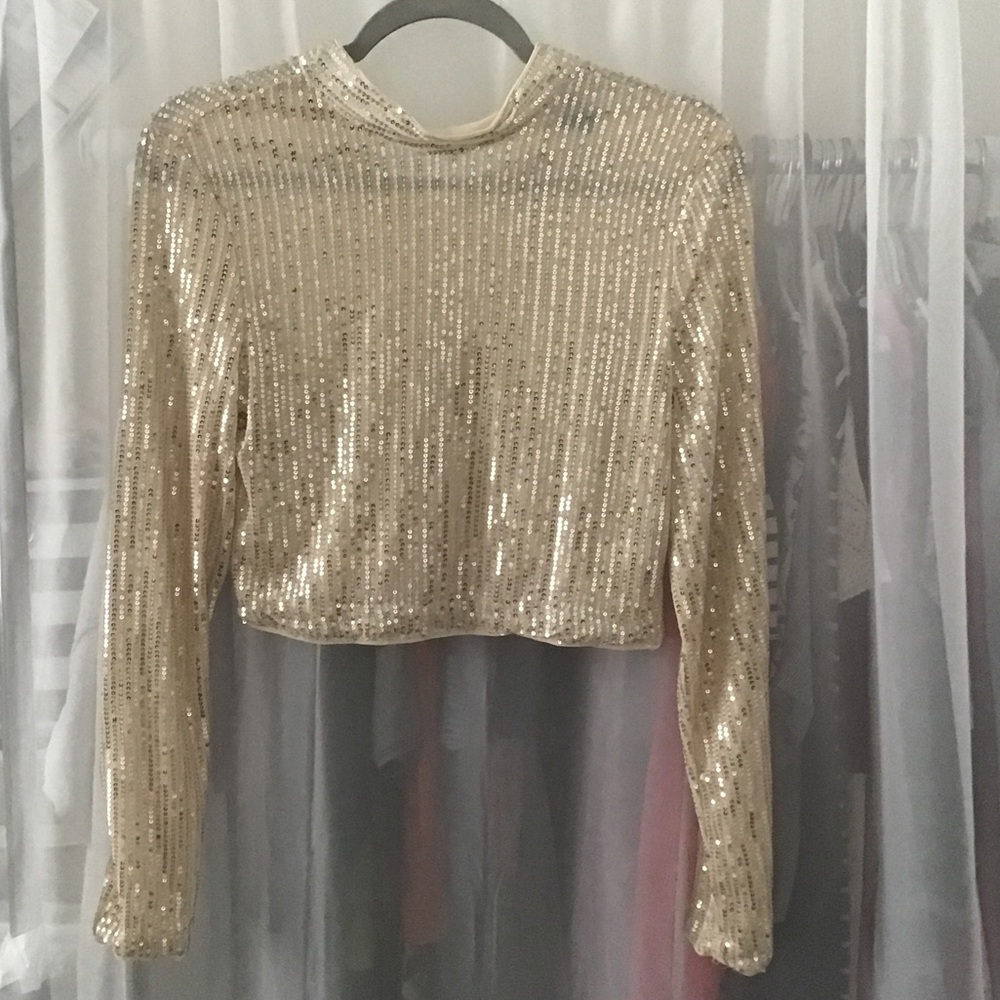 Cropped sequin top (large)